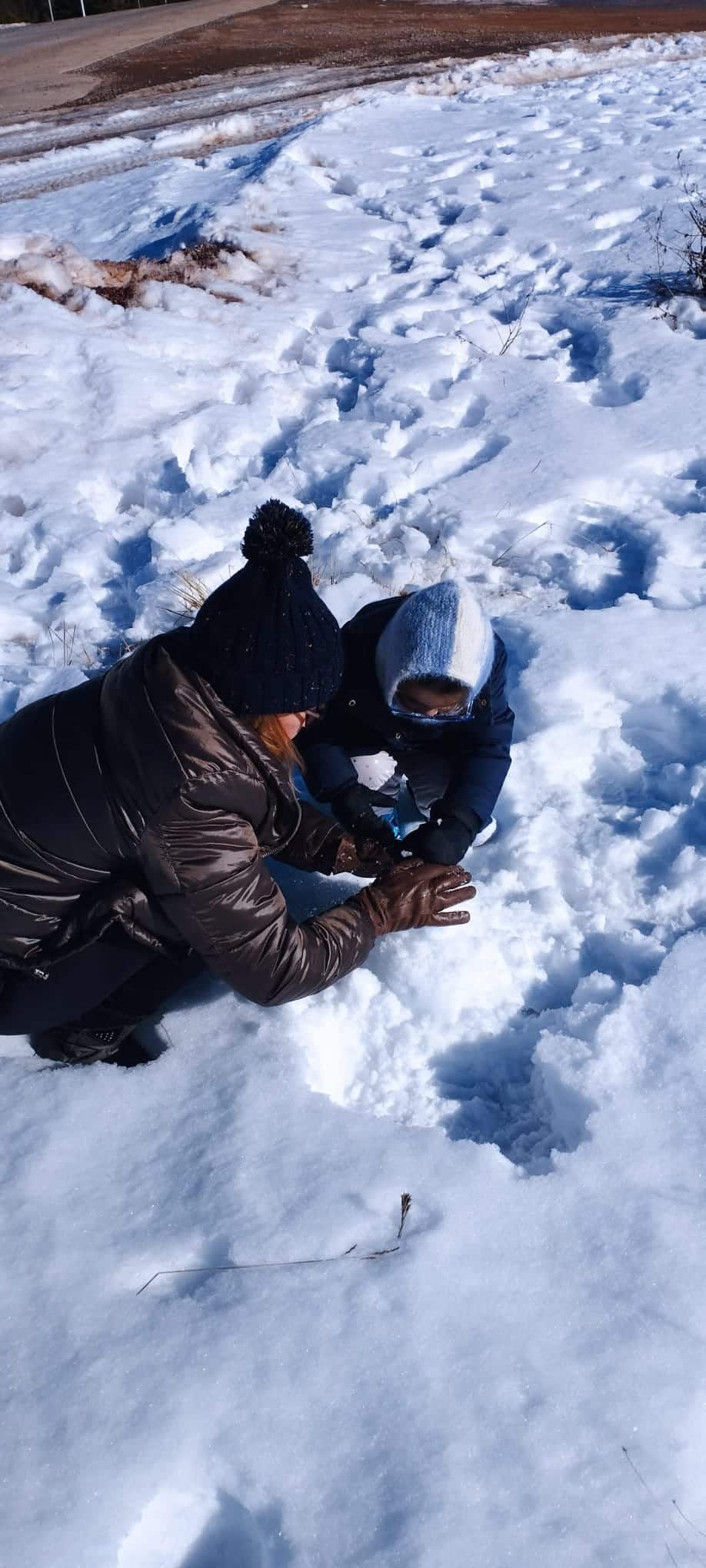 Nieve. ViajeSoy